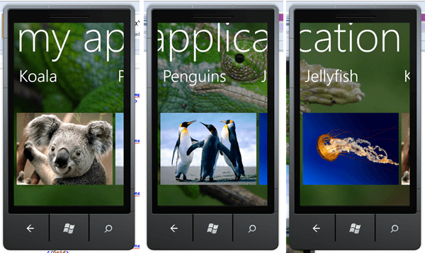 מדריך Windows Phone – שימוש בדפים מיוחדים